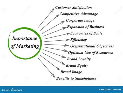 The Role of Market